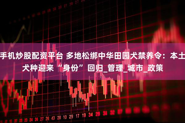 手机炒股配资平台 多地松绑中华田园犬禁养令：本土犬种迎来 “身份” 回归_管理_城市_政策