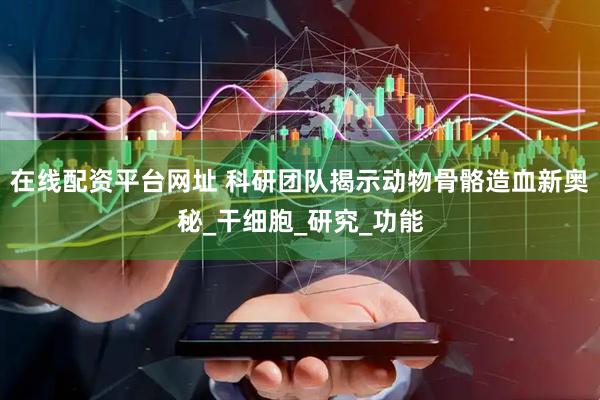 在线配资平台网址 科研团队揭示动物骨骼造血新奥秘_干细胞_研究_功能